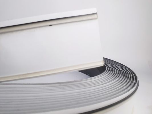 30M Letterform Neon Strip Light Z 3-14cm Letterform Edge Shape